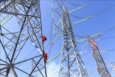 Vượt núi từ sáng sớm để bảo dưỡng Đường dây 500kV Vĩnh Tân – Thuận Nam