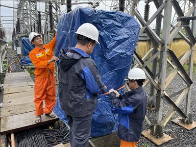 Công ty Truyền tải điện 2 khẩn trương phòng chống, ứng phó bão Trà Mi  