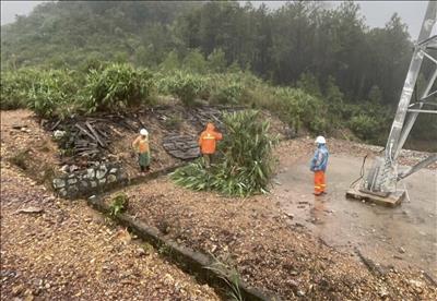 Chùm ảnh: Công ty Truyền tải điện 2 tăng cường kiểm tra hệ thống truyền tải điện tại những tỉnh đang có mưa lớn gây ngập úng