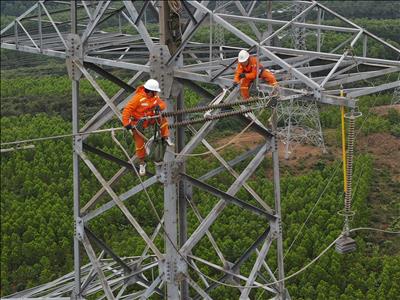 Công ty Truyền tải điện 2 tăng cường các biện pháp đảm bảo cấp điện trong dịp Lễ Noel, Tết Dương lịch và Tết Nguyên đán Ất Tỵ 2025.