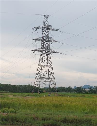 NPMB nỗ lực vượt qua khó khăn, vướng mắc trong thi công dự án Đường dây 500/220kV Nho Quan – Phủ Lý – Thường Tín