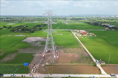 Bộ Giao thông vận tải yêu cầu các đơn vị liên quan khẩn trương hỗ trợ triển khai Dự án đường dây 500kV mạch 3