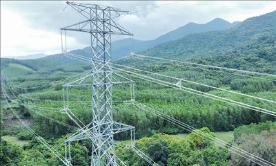 Đóng điện giai đoạn 1 Dự án nâng tải đường dây 220kV Quảng Ngãi – Quy Nhơn
