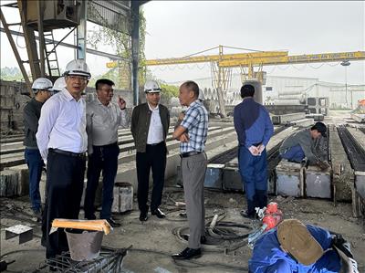 Kiểm tra tình hình sản xuất cọc cho các vị trí móng cọc Dự án đường dây 500kV mạch 3 