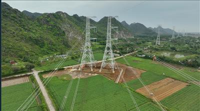 Hoàn thành kéo dây gói thầu đầu tiên Dự án đường dây 500kV mạch 3