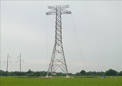    Thêm đơn vị hoàn thành cung cấp toàn bộ cột thép cho Dự án đường dây 500kV mạch 3