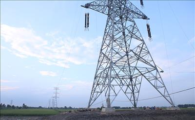 Tập trung nguồn lực, đẩy nhanh tiến độ thi công Dự án đường dây 500kV mạch 3 cung đoạn NMNĐ Nam Định I – Phố Nối