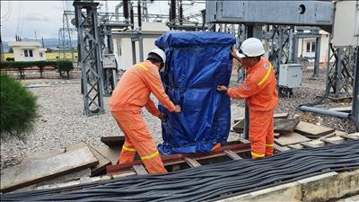 Công ty Truyền tải điện 3 chủ động triển khai các phương án đảm bảo an toàn lưới điện trước ảnh hưởng của những cơn bão