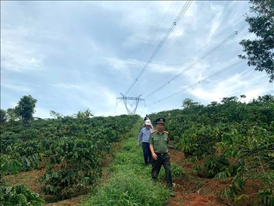 PTC3 đảm bảo an ninh an toàn lưới điện truyền tải khu vực Nam miền Trung và Tây Nguyên dịp Lễ Quốc khánh 2/9