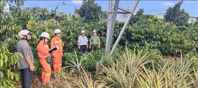 Đảm bảo an toàn lưới điện truyền tải trên địa bàn tỉnh Đăk Nông trước Tết Nguyên đán Giáp Thìn 2024
