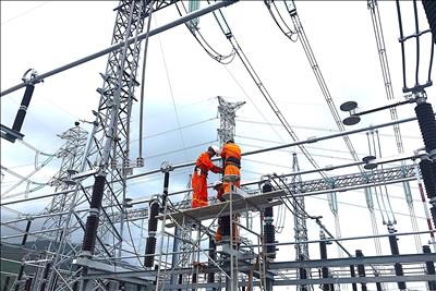 Đảm bảo lưới điện truyền tải vận hành an toàn các tháng cuối năm 2024
