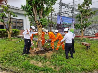 EVNNPT tích hưởng ứng Chương trình “Tết Trồng cây” năm 2025