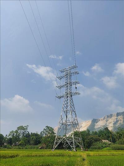 NPMB nỗ lực hoàn thành Dự án đường dây 220kV mạch kép đấu nối TBA 220kV Bắc Quang