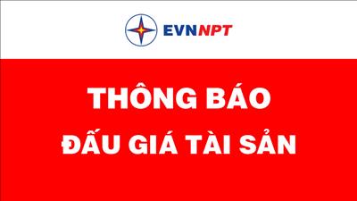 Thông báo về việc lựa chọn tổ chức hành nghề đấu giá tài sản Lô vật tư thiết bị thu hồi thanh lý năm 2022 của Công ty Truyền tải điện 2