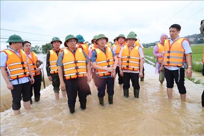 Thủ tướng chỉ đạo khôi phục nhanh nhất hệ thống điện đảm bảo sản xuất và sinh hoạt