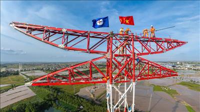 NPTS: 7 năm hòa mình trong dòng chảy lịch sử 70 năm ngành Điện lực Việt Nam