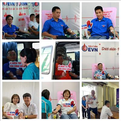 Công ty Truyền tải điện 4 hưởng ứng Tuần lễ hồng EVN lần X năm 2024