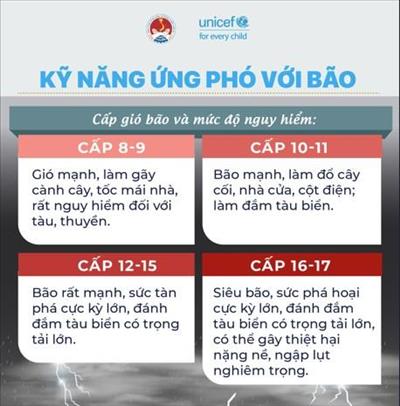 Kỹ năng ứng phó với bão