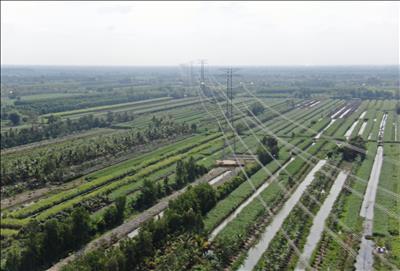 Công ty Truyền tải điện 4 hoàn thành nhiệm vụ kế hoạch năm 2024.