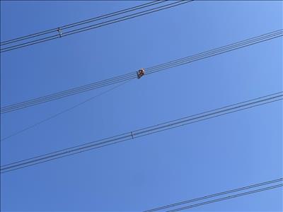 Hoàn thành sửa chữa đường dây 500kV Duyên Hải – Mỹ Tho góp phần đảm bảo vận hành an toàn hệ thống truyền tải điện khu vực