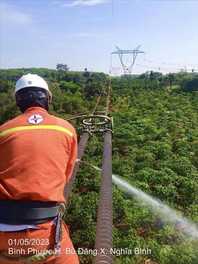 118 cán bộ công nhân viên không nghỉ lễ tham gia vệ sinh sứ Đường dây 500kV Đắk Nông – Cầu Bông