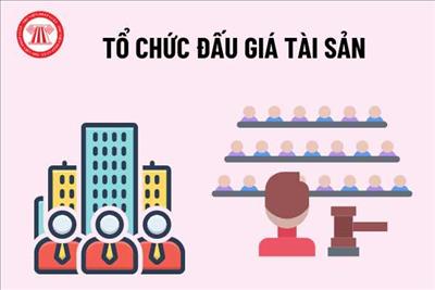 Một số vướng mắc khi tổ chức lựa chọn tổ chức hành nghề đấu giá tài sản thông qua đấu thầu