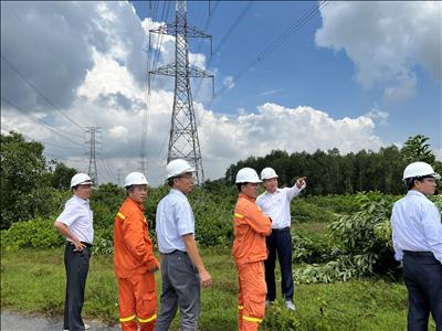 Giám đốc Công ty Truyền tải điện 4 kiểm tra thực địa tuyến đường dây 500kV Vĩnh Tân – Sông Mây – Tân Uyên