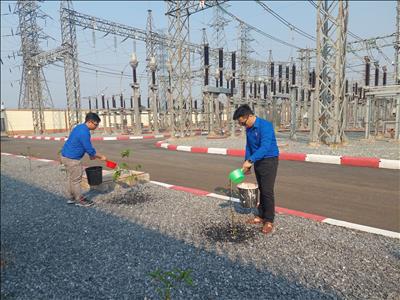Đoàn thanh niên Truyền tải điện Quảng Trị thực hiện Công trình thanh niên năm 2023