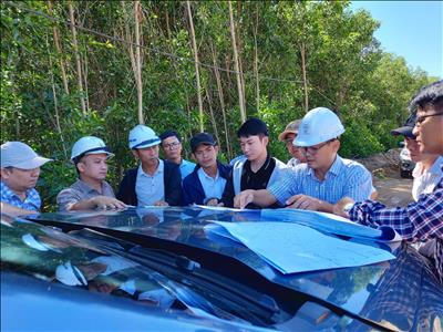 Truyền tải điện Quảng Ngãi bàn giao mặt bằng di dời các đường dây 220kV phục vụ thi công cao tốc
