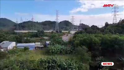 Video clip: Đảm bảo an toàn hệ thống lưới điện truyền tải mùa mưa bão