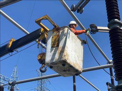 PTC4 triển khai giải pháp giảm tổn thất điện năng trên lưới truyền tải điện năm 2025